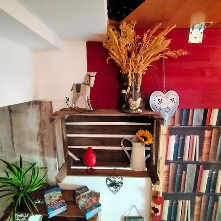 Chambres D'hotes Chez Sandrine * Rhinau